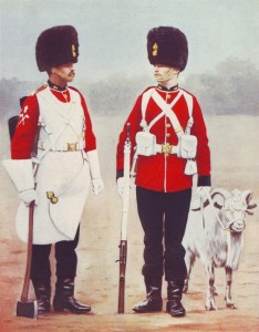 Royal Welch Fusiliers