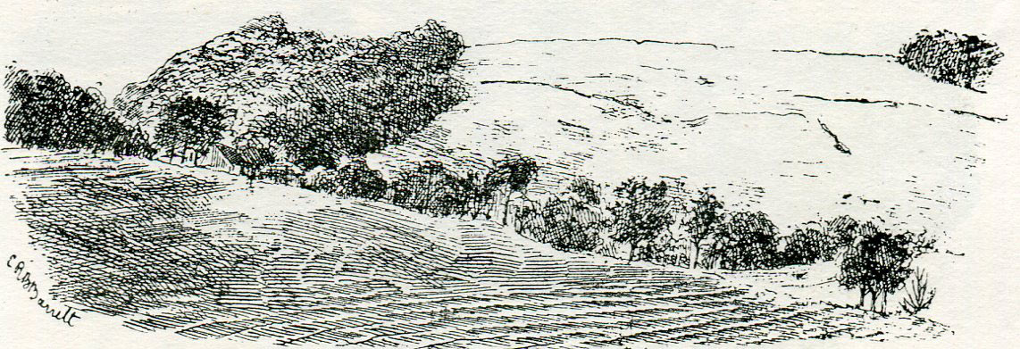 Roundway Down east side: Battle of Roundway Down on 13th July 1643 during the English Civil War: drawing by C.R.B. Barrett
