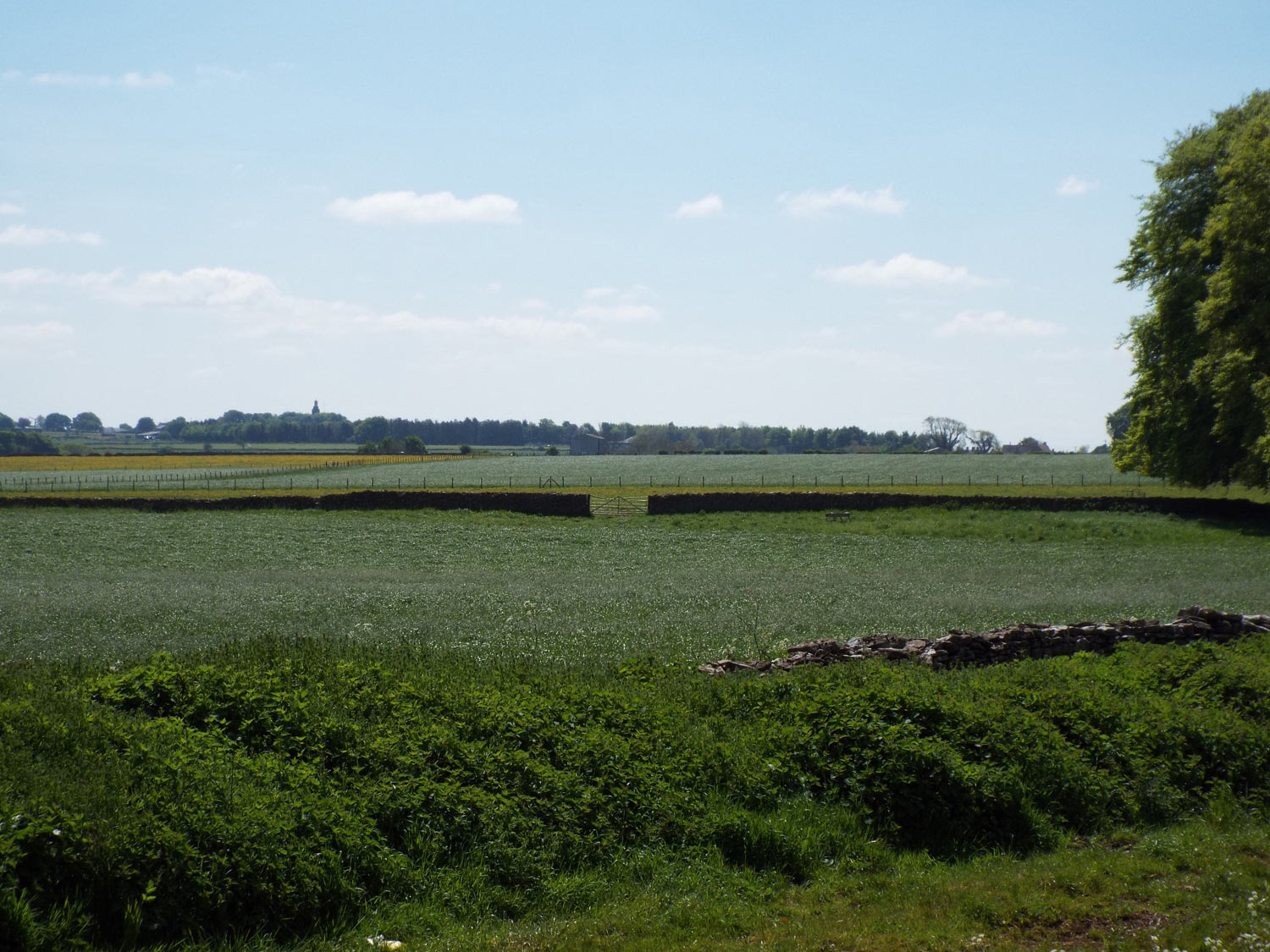 The wall adopted by the Parliamentary army as its second line at the Battle of Lansdown Hill on 5th July 1643 in the English Civil War