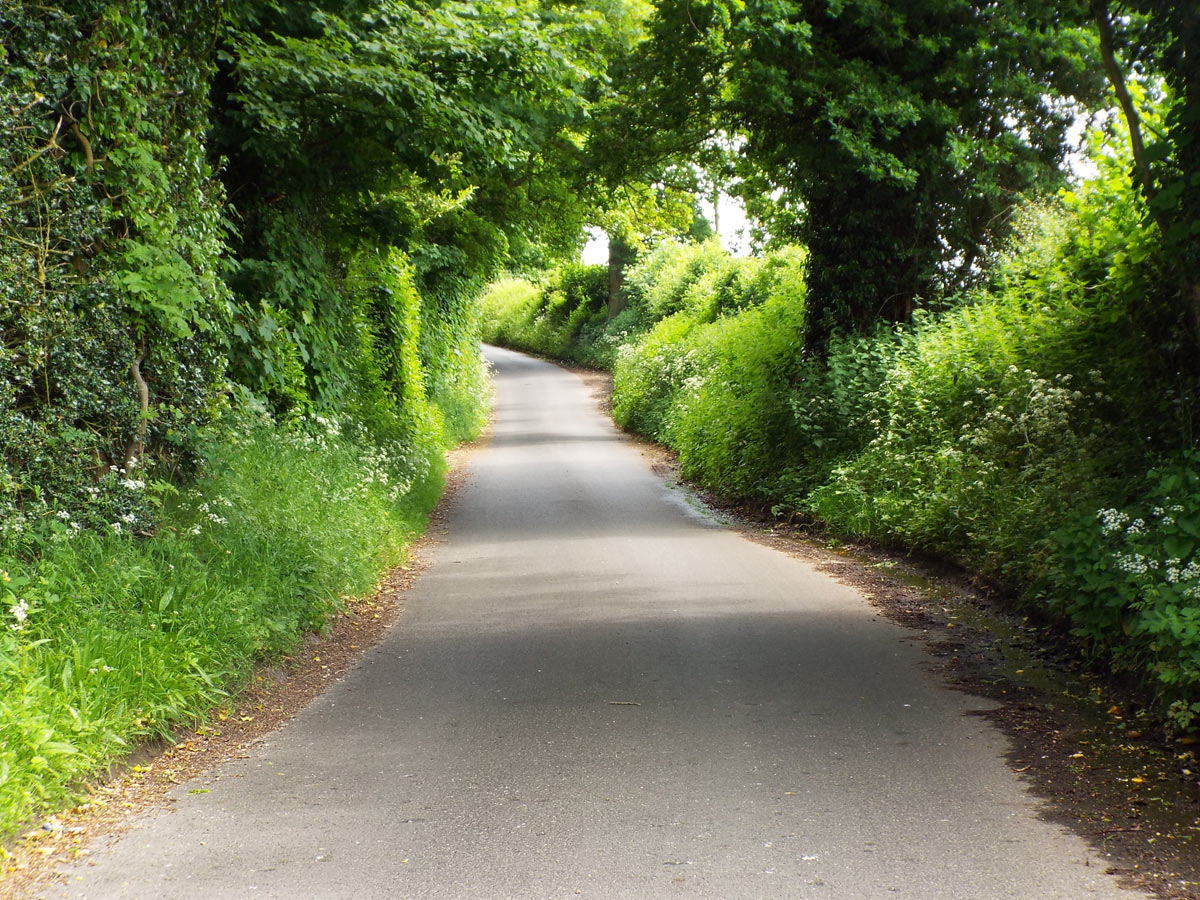 Skinner’s Green Lane leading up to the Round Hill, the route taken by Sergeant Major General Philip Skippon and his Parliamentary force in the early hours of 20th September 1643 in the First Battle of Newbury in the English Civil War