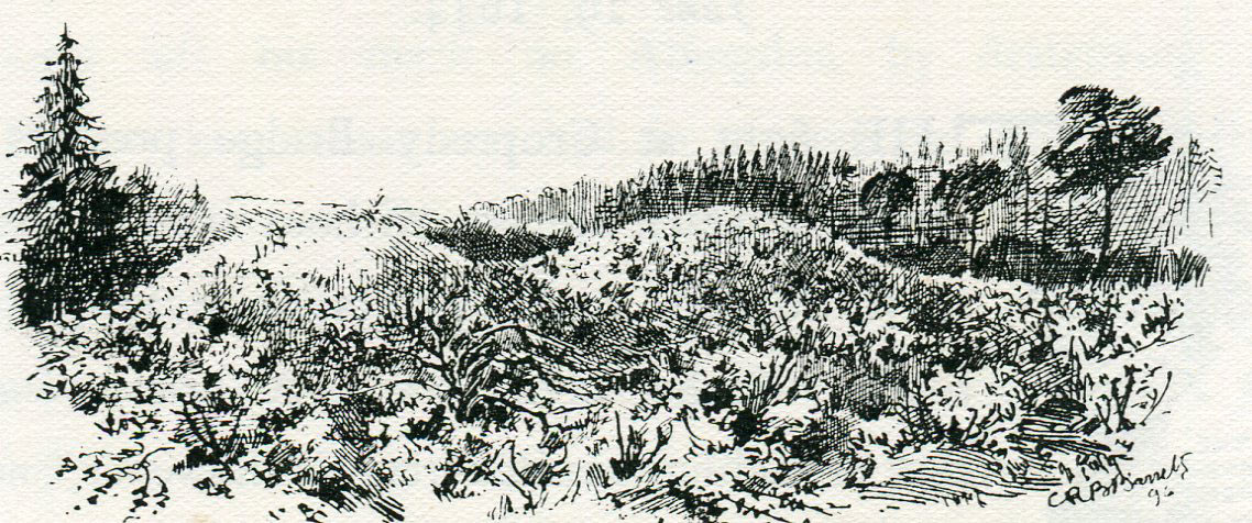 Burial Mounds for casualties at the First Battle of Newbury on 20th September 1643 during the English Civil War: drawing by C.R.B. Barrett