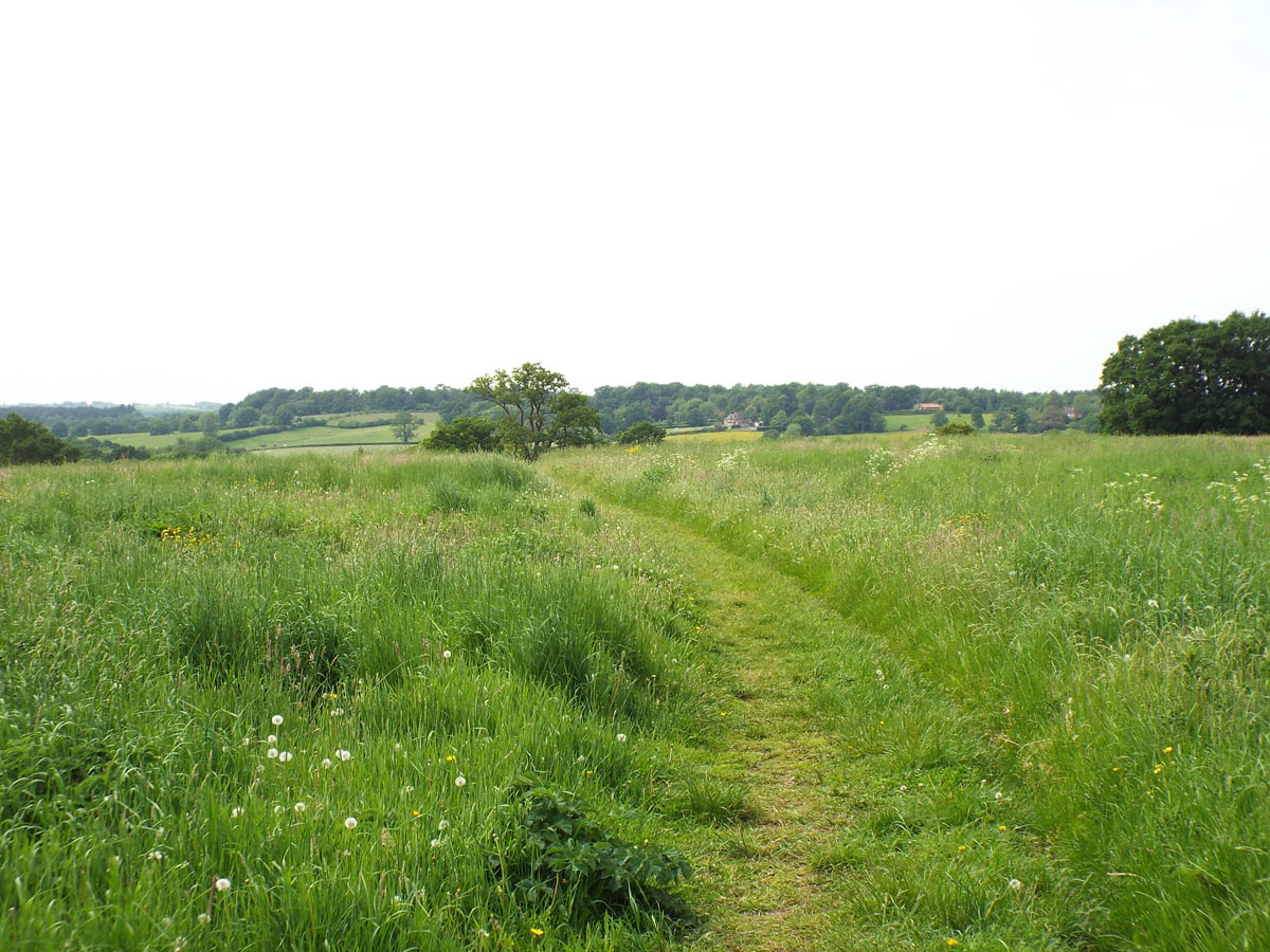 First Battle of Newbury on 20th September 1643 in the English Civil War: the view over the battlefield with the Round Hill in the distance