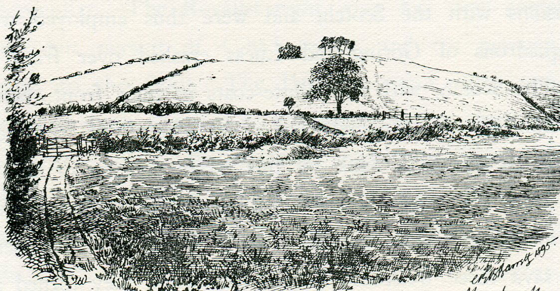 Marston Moor looking south from the Royalist position at the beginning of the Battle of Marston Moor on 2nd July 1644 in the English Civil War: drawing by C.R.B. Barrett