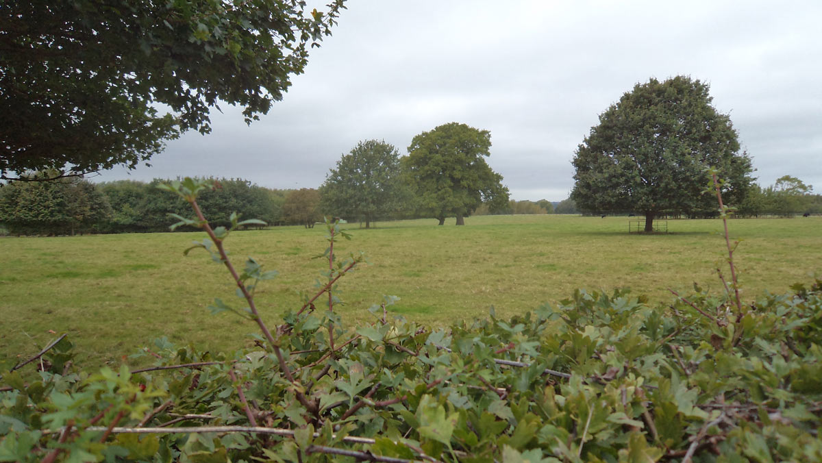 Field near Chalgrove seen over the Great Hedge: Battle of Chalgrove 18th June 1643 in the English Civil War
