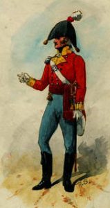 Officer of the 9th East Norfolk Regiment: Battle of Salamanca on 22nd July 1812 during the Peninsular War: picture by Richard Simkin: buy this picture