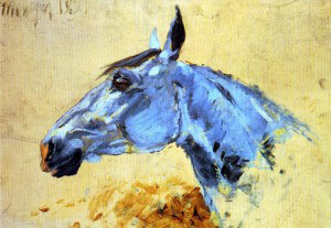 Head of a grey horse by Henri de Toulouse-Lautrec 1882.