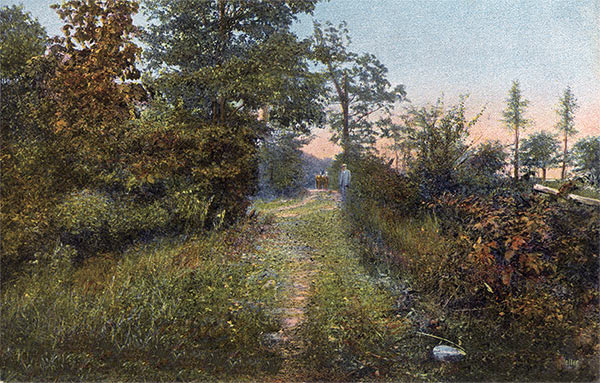 The route to Salt Lick Camp in later times.