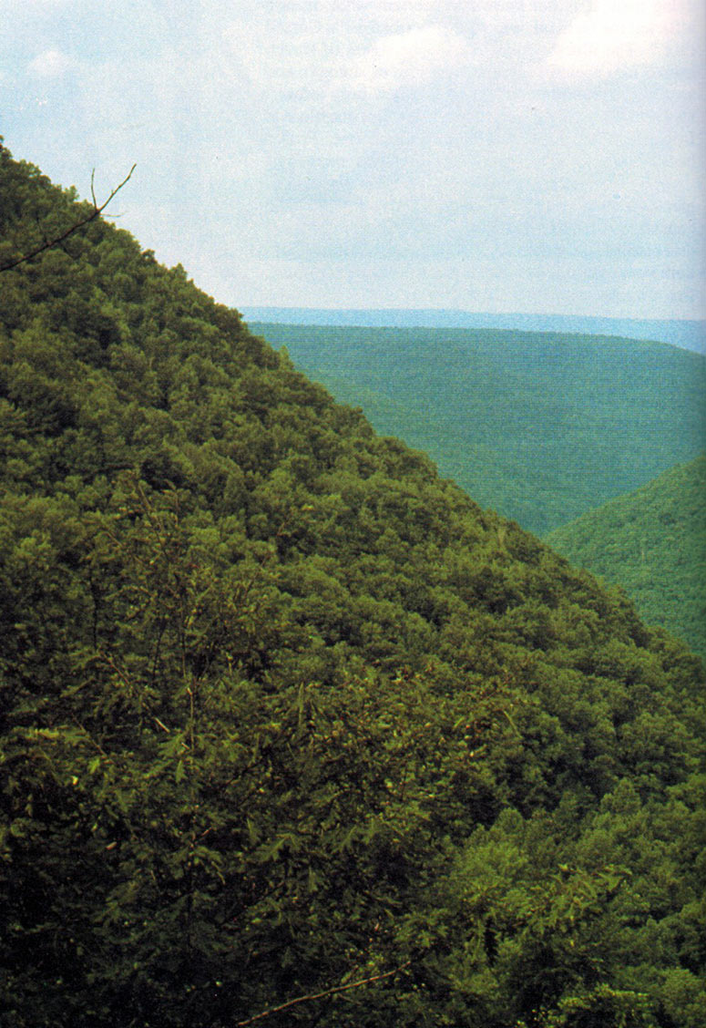 Allegheny Mountains