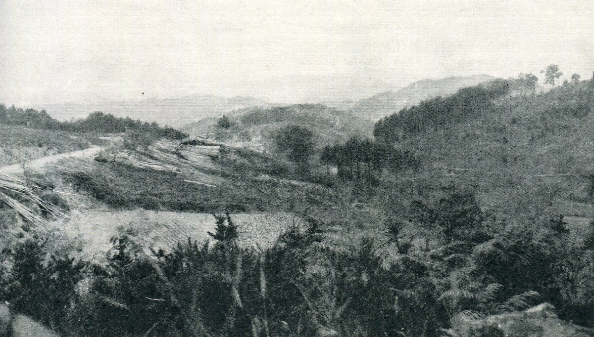 Battlefield of the Battle of Busaco on 27th September 1810 in the Peninsular War: the position of Craufurd's Light Brigade was on the right of the scene