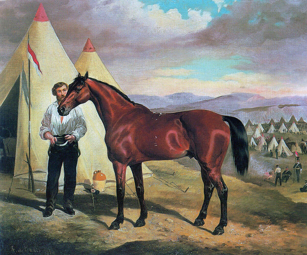 'Sir Briggs' the horse ridden by Captain Godfrey Morgan. later Lord Tredegar, of the 17th Lancers in the Charge of the Light Brigade at the Battle of Balaclava on 25th October 1854 in the Crimean War: picture by Alfred Frank de Prades
