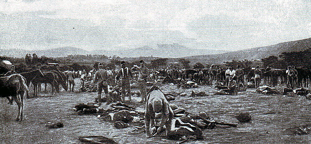 Thorneycroft’s Mounted Infantry in camp in Natal: the regiment attacked Hlangwane Mountain as part of Dundonald’s Mounted Brigade at the Battle of Colenso on 15th December 1899