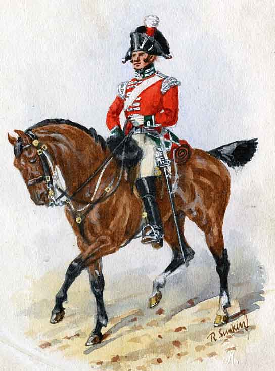 Officer of British 4th Queen's Own Dragoons: Battle of Usagre on 25th May 1811 in the Peninsular War: picture by Richard Simkin