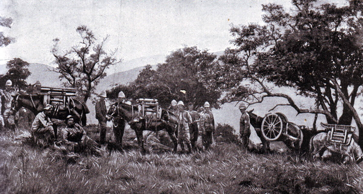 Royal Garrison Artillery Mountain Battery on mules in South Africa 1899 in the Boer War