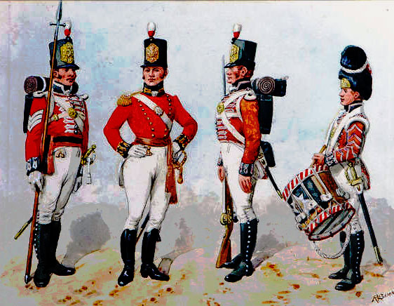 Sergeant, Officer, Soldier and Drummer of British infantry: Battle of Roliça on 17th August 1808 in the Peninsular War