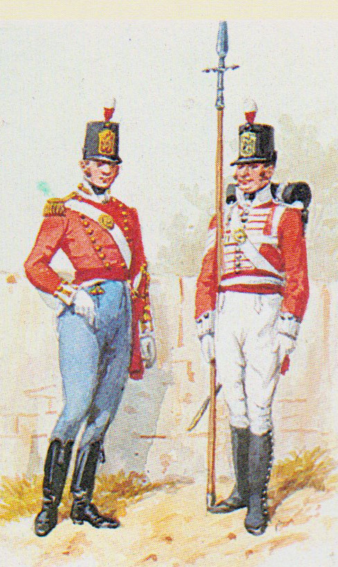 British 74th  Regiment, Third Division, Battle of Busaco on 27th September 1810 in the Peninsular War: picture by Richard Simkin
