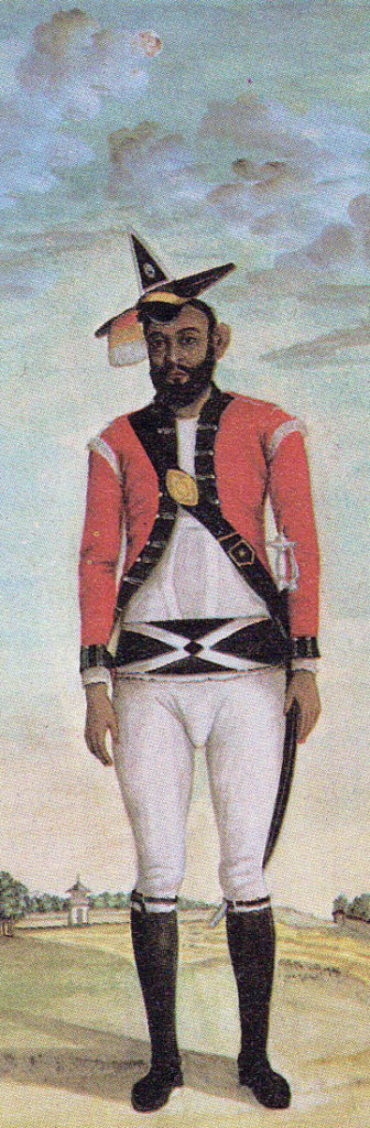 Subedar of Bengal Infantry: Battle of Laswaree on 1st November 1803 in the Second Mahratta War