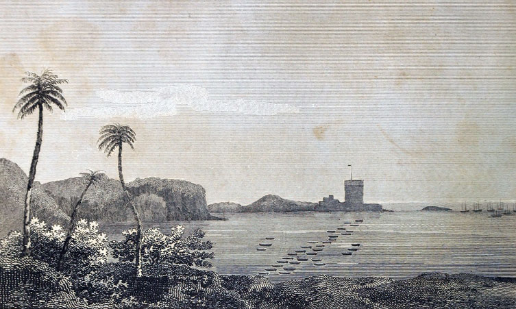 British landing in Aboukir Bay: Battle of Alexandria 8th to 21st March 1801